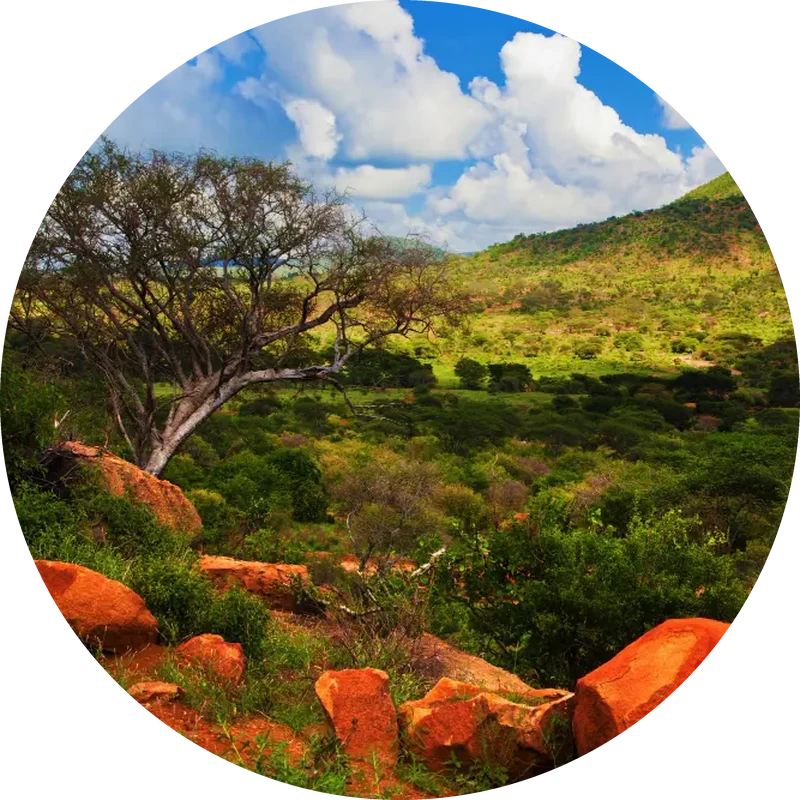 burundi circular