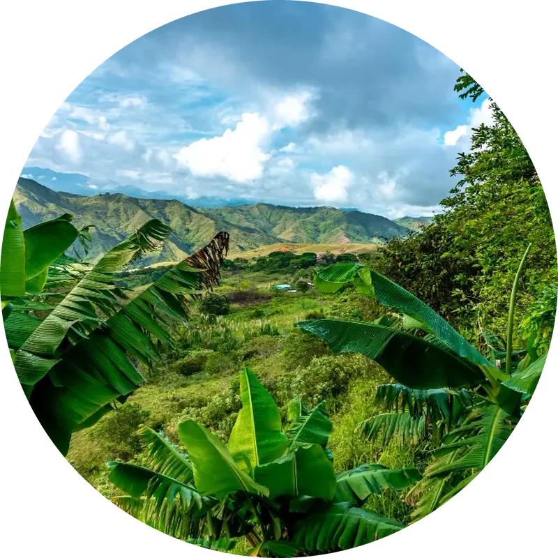 colombia circular