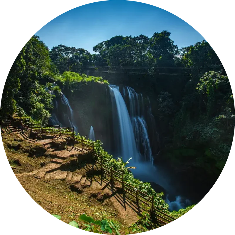 honduras circular