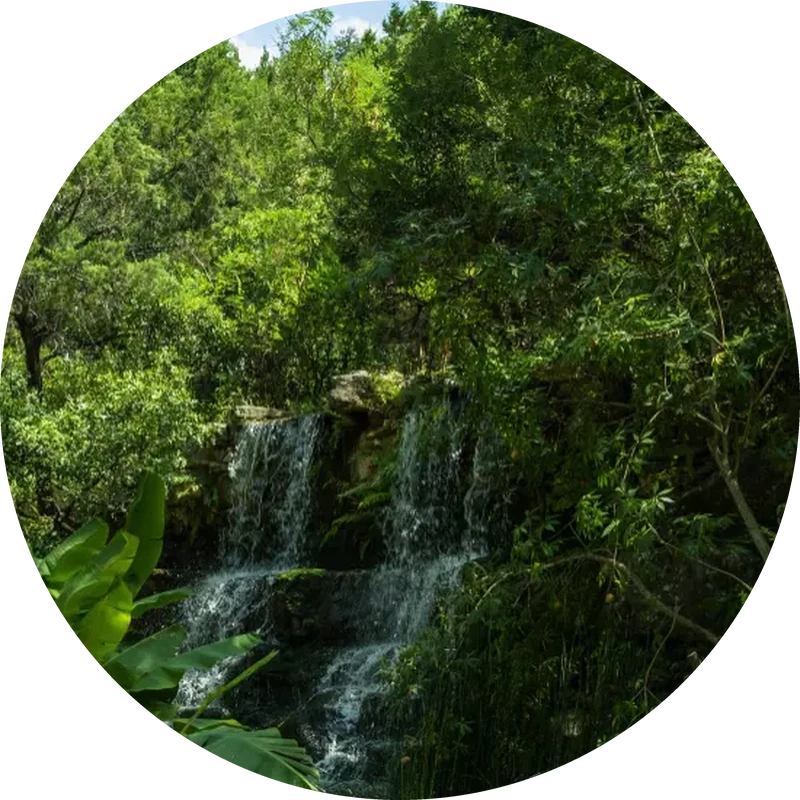 panama circular
